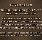 Rich plaque