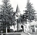 trees